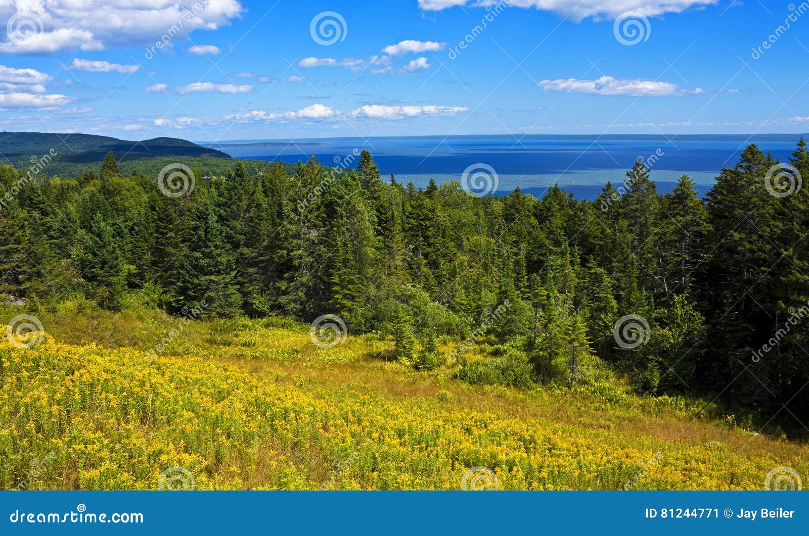 2,640 Fotos de Stock de Fundy - Fotos de Stock Gratuitas e Sem