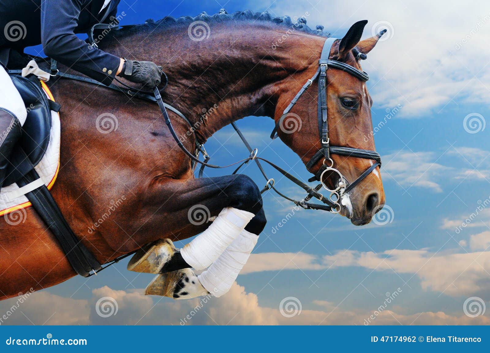 bay horse in jumping show against blue sky