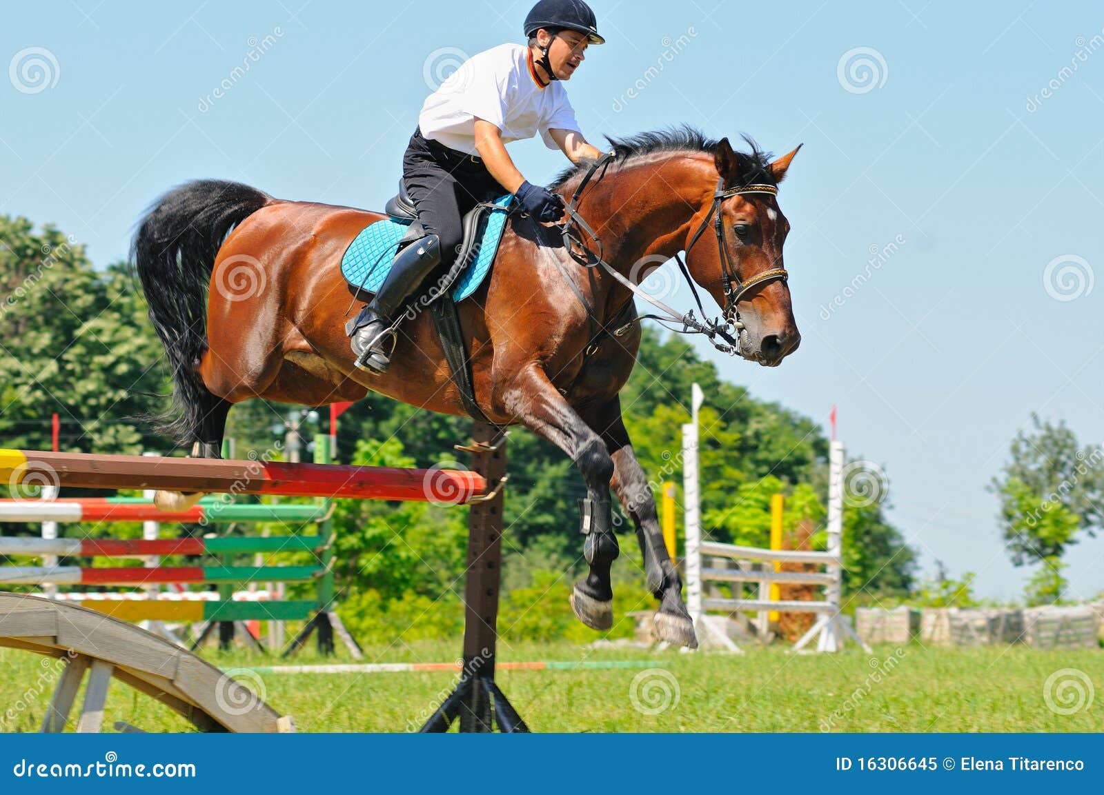 Bay Horse and Rider Over a Jump Stock Image Image of hurdle