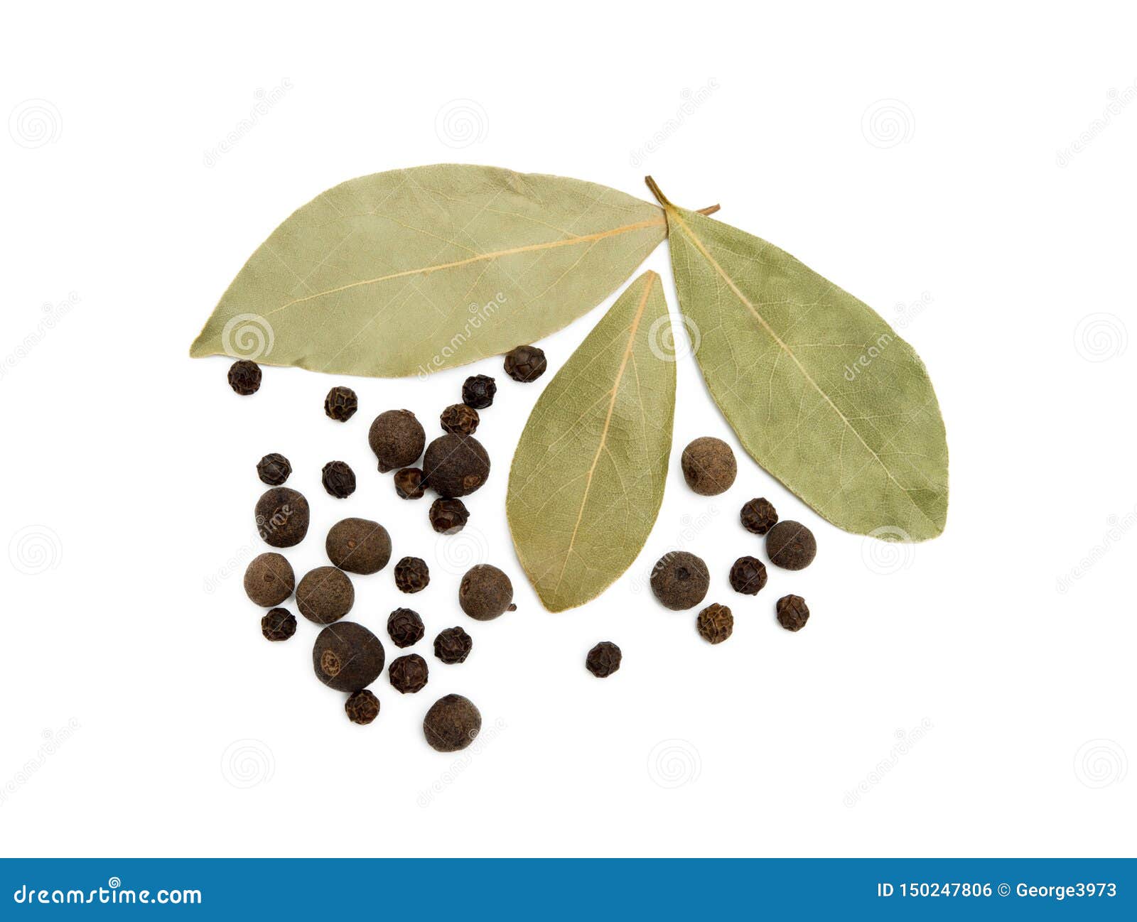 Bay Leaf, Allspice and Pepper Stock Photo Image of aroma, leaf 150247806