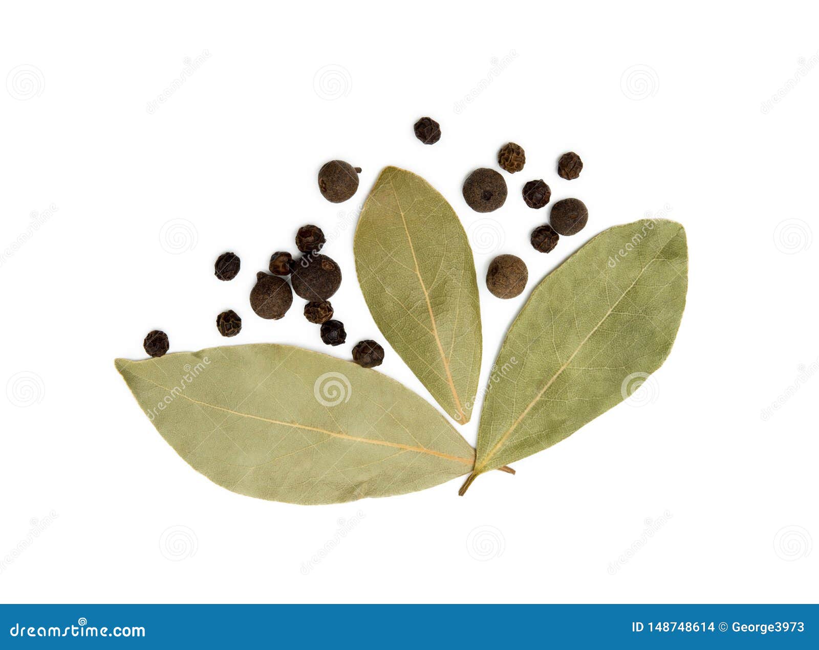 Bay Leaf, Allspice and Pepper Stock Photo Image of leaf, leaves