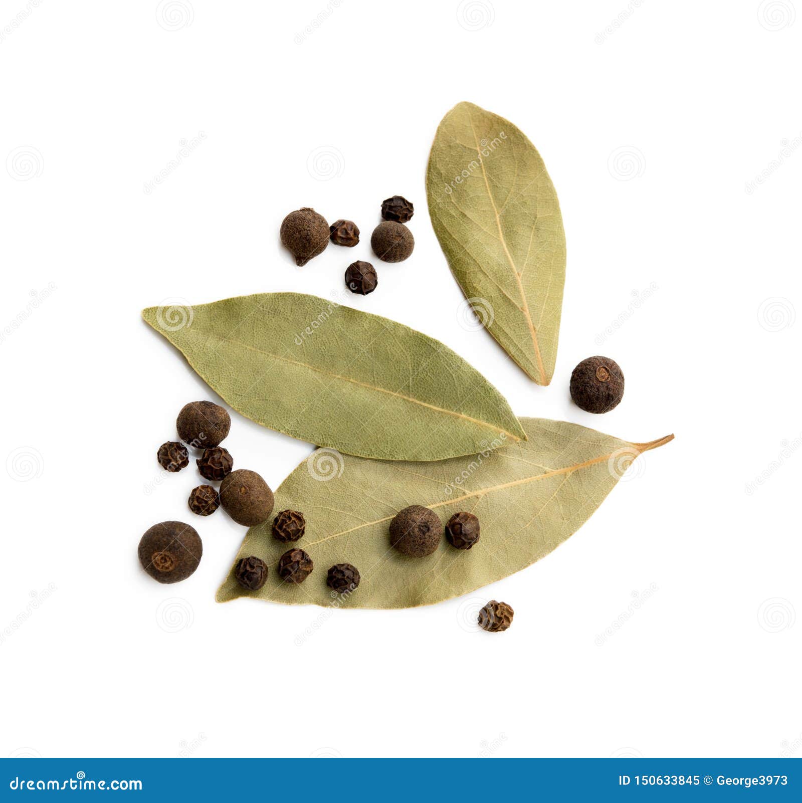 Bay Leaf, Allspice and Pepper Stock Image Image of closeup