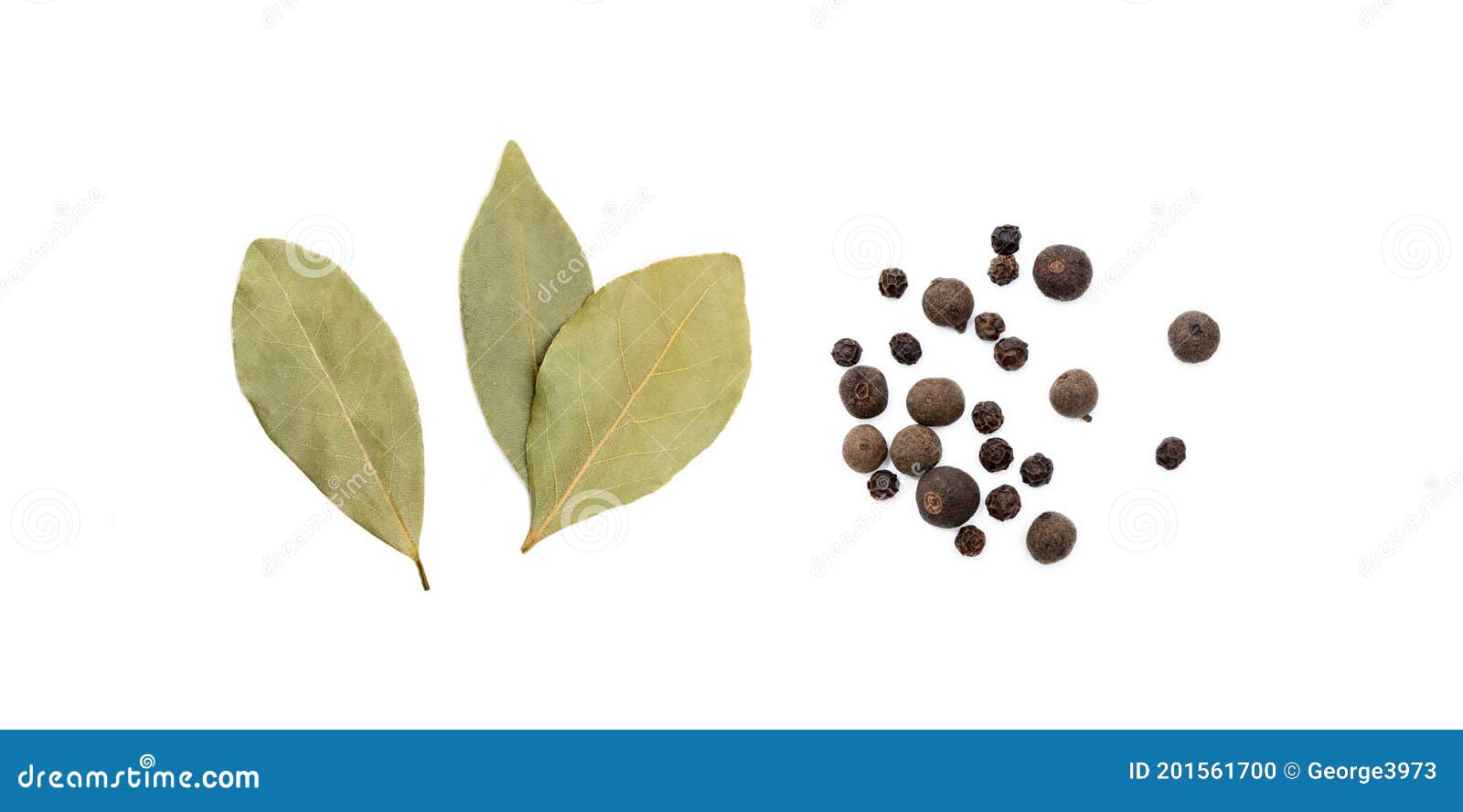 Bay Leaf, Allspice and Pepper Stock Photo Image of nature, healthy