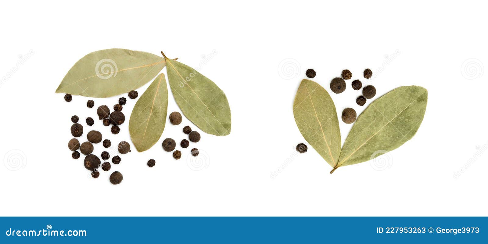 Bay Leaf, Allspice and Pepper Stock Image Image of aroma, healthy
