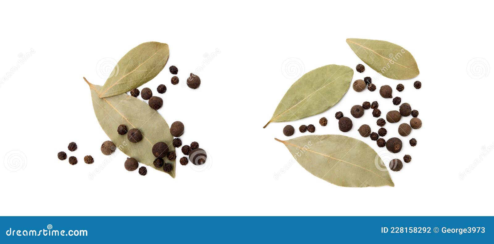 Bay Leaf, Allspice and Pepper Stock Photo Image of color, isolated