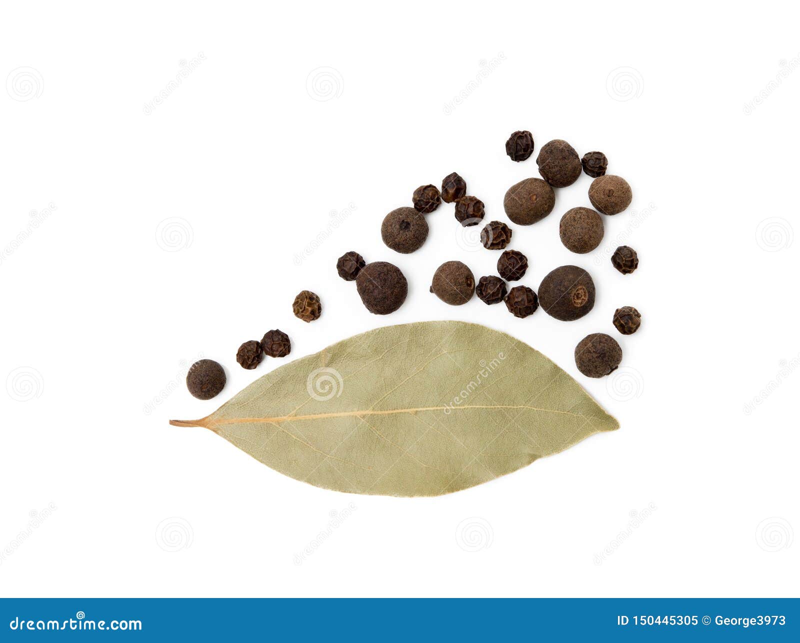 Bay Leaf, Allspice and Pepper Stock Image Image of nature, herb