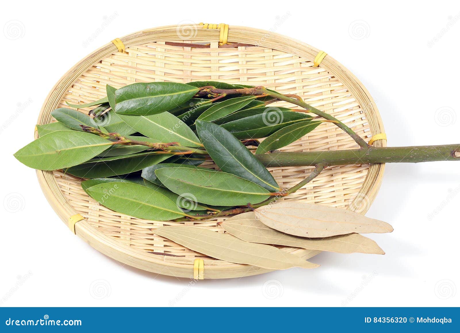 Bay leaf herb spice stock photo. Image of cuisine, flavour 84356320