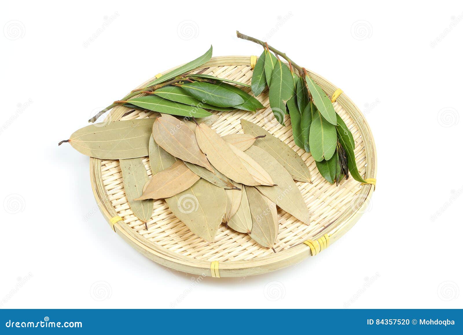 Bay leaf herb spice stock photo. Image of seasoning, fresh 84357520
