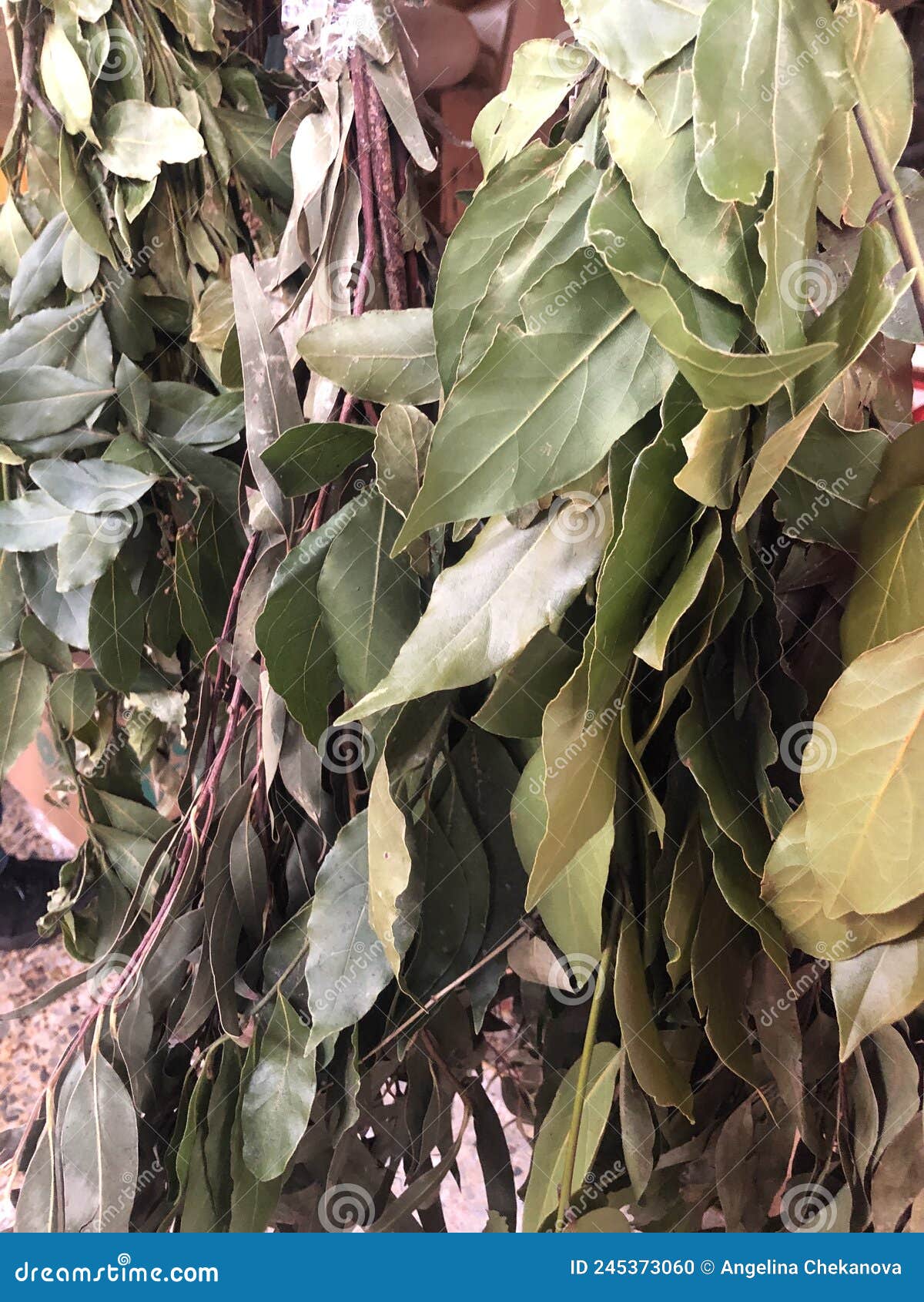 Bay leaf on the market stock photo. Image of closeup 245373060