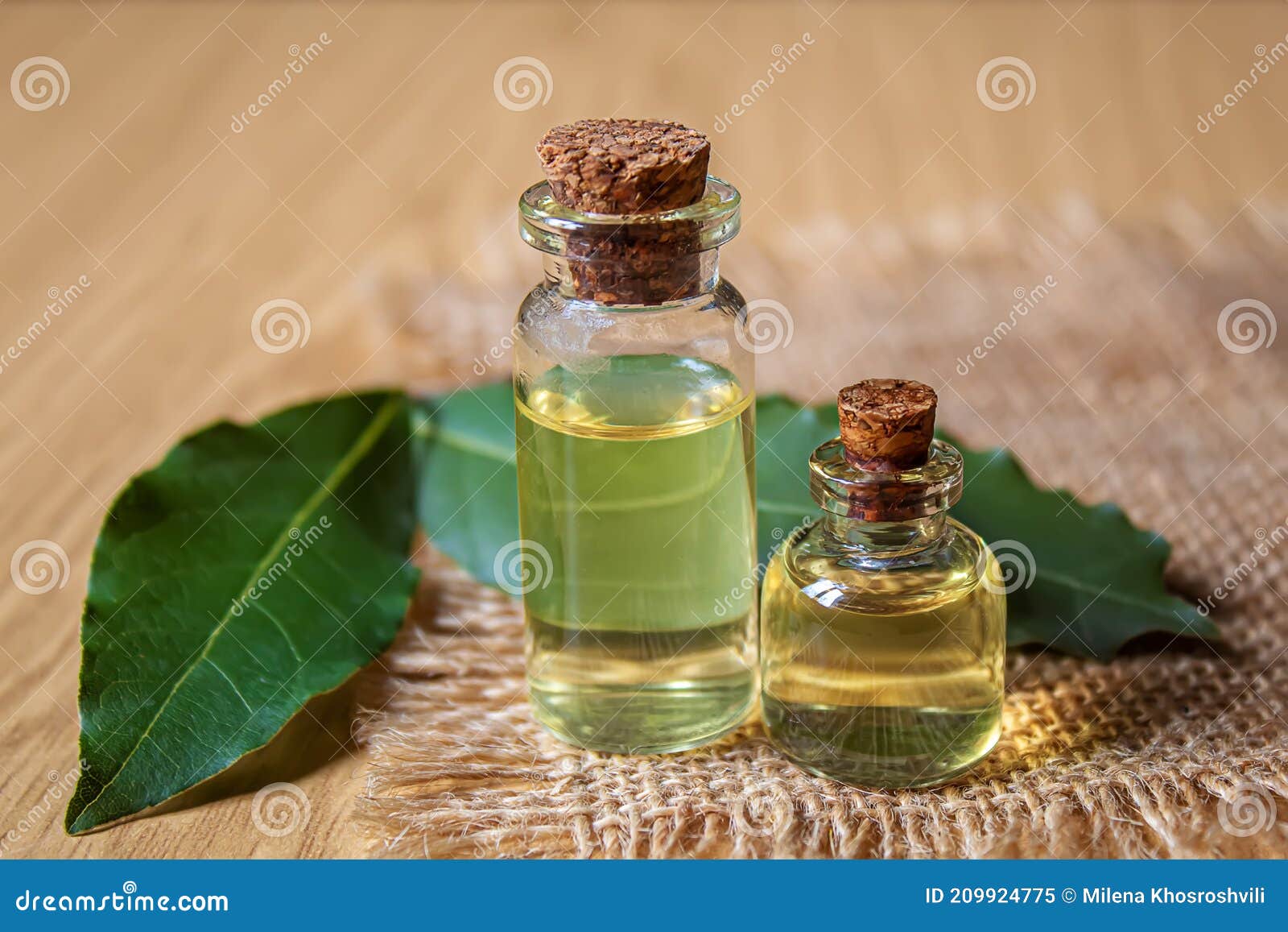 Bay Leaf Oil in a Small Bottle.selecve Focus Stock Image Image of