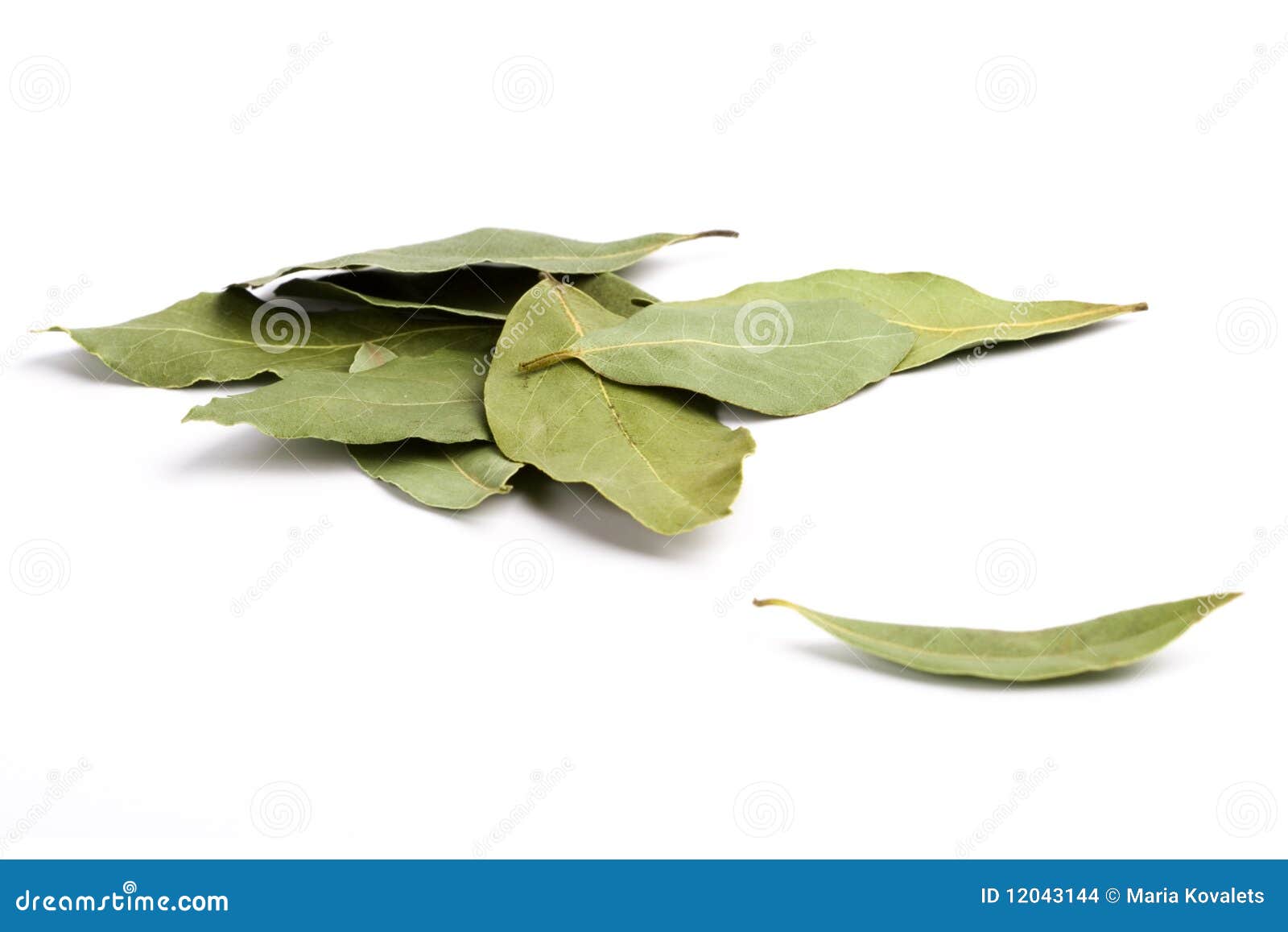 Bay leaves stock photo. Image of smell, herbal, recipe 12043144