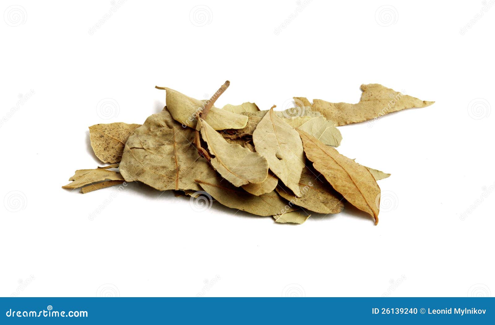 Bay Leaves stock photo. Image of bayleaf, flavor, leaf 26139240
