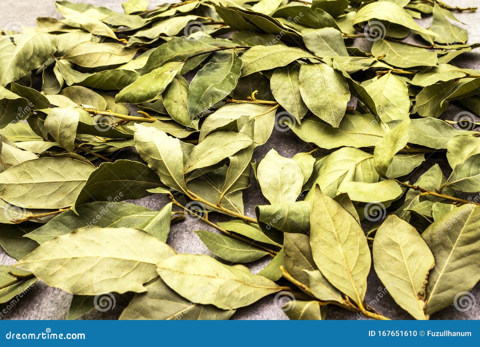 Bay Leaves Dried Texture Background Stock Photo Image of organic