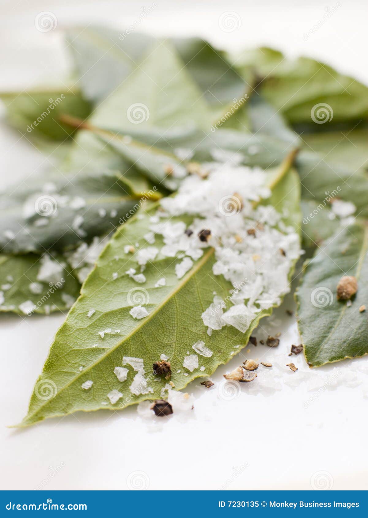 Bay Leaves with Sea Salt stock image. Image of pepper 7230135