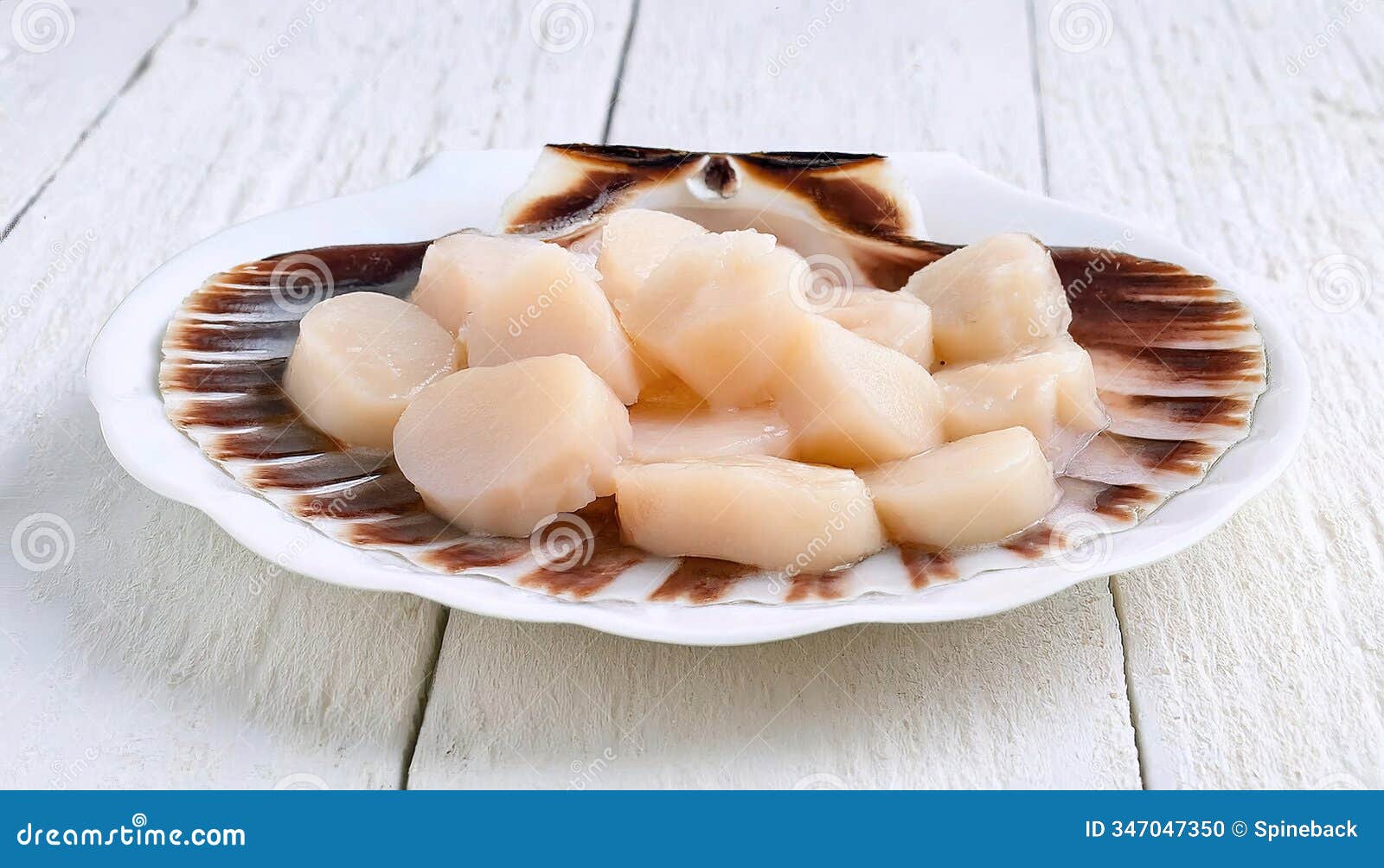 bay scallop are bivalve shellfish found in all of the world oceans, but never in fresh water and highly prized as a high priced