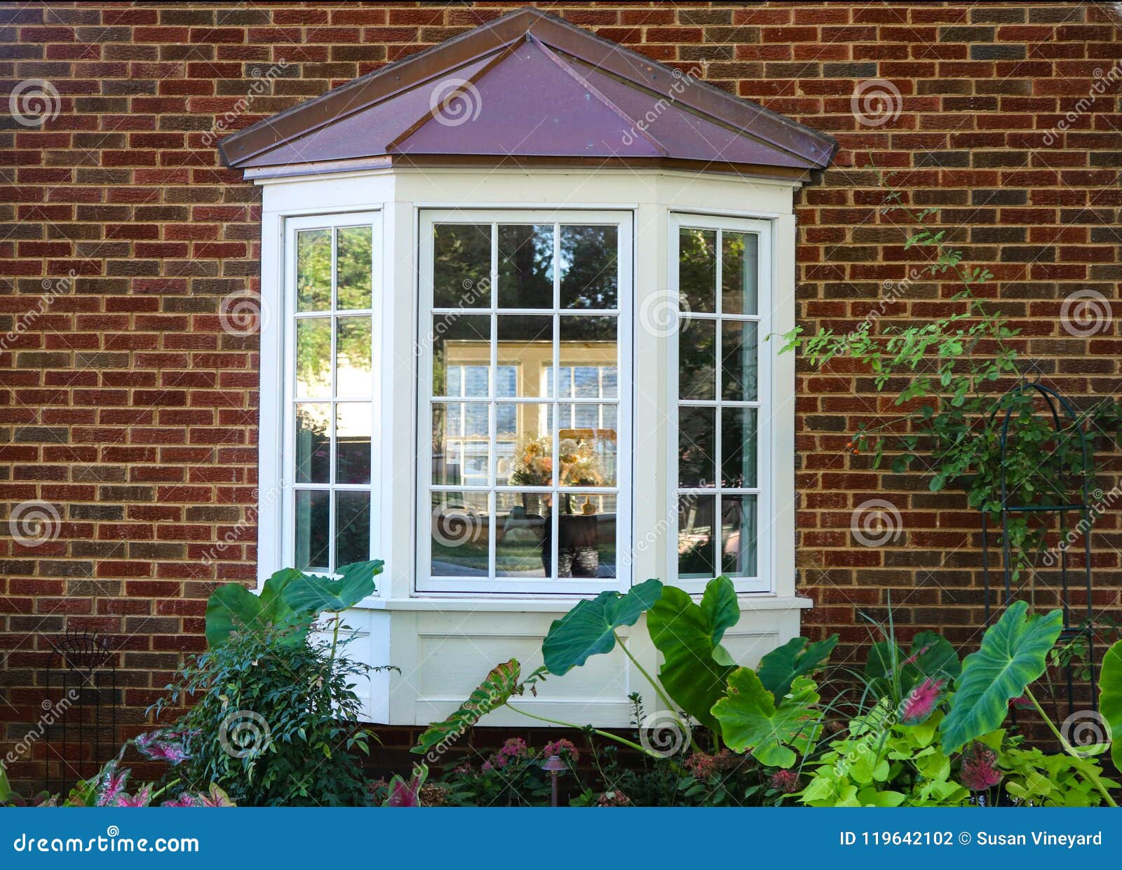 Bay Window in a Brick House with Reflection of Trees and View of Windows  and Flowers Inside and Flowers and Elephant Ears Outside Stock Photo -  Image of outside, brick: 119642102