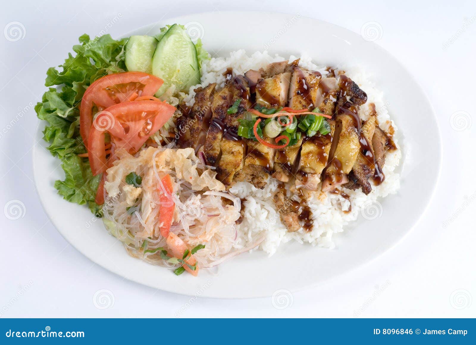 BBQ chicken over rice stock photo. Image of lettuce, sliced 8096846