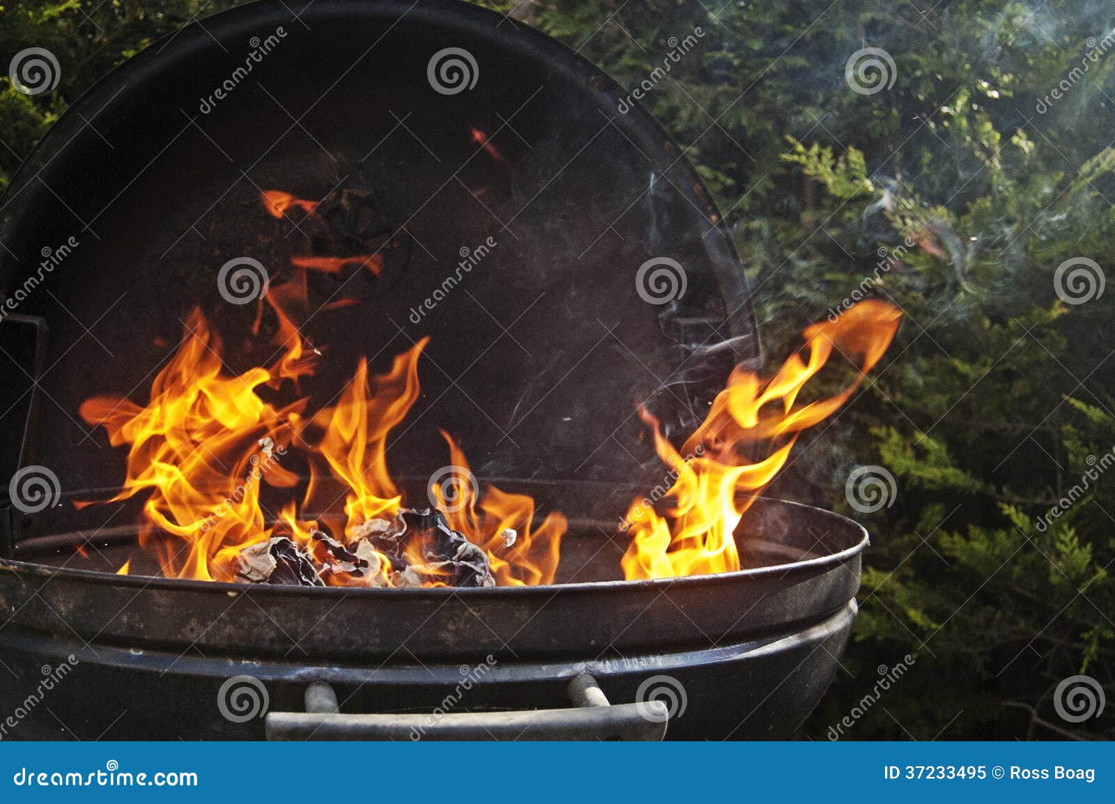 BBQ stock image. Image of fire, garden, sunshine, food 37233495