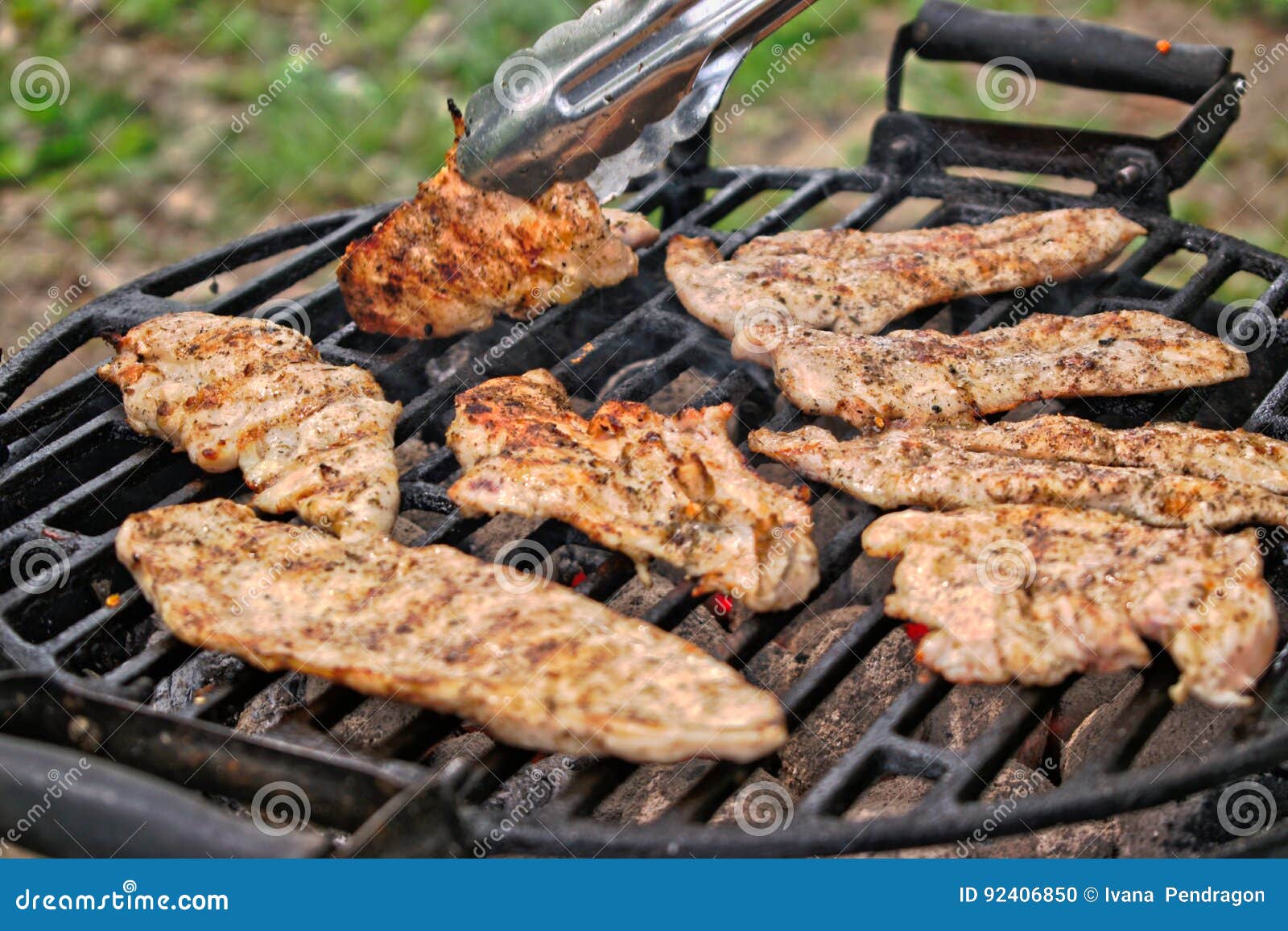 BBQ stock photo. Image of preparing, nature, meal, chicken 92406850