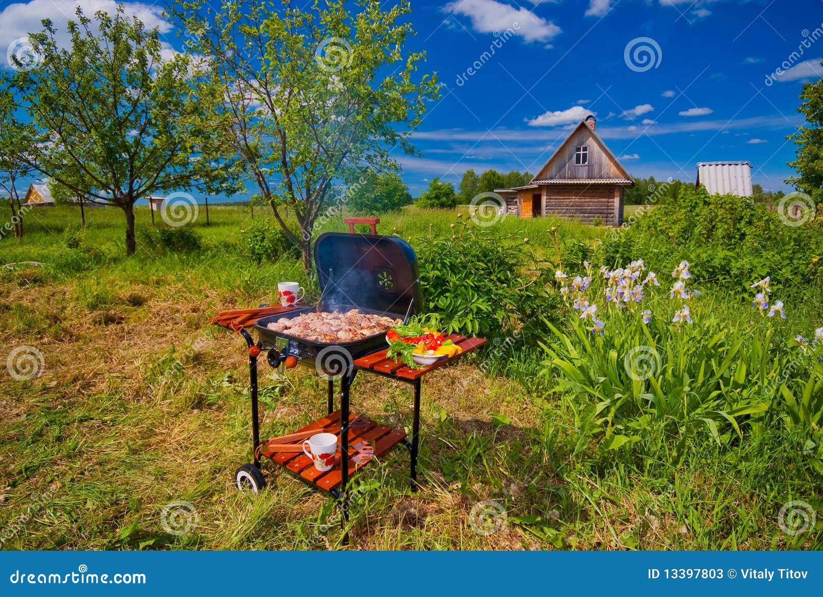 BBQ in the open stock image. Image of food, burn, outdoor 13397803