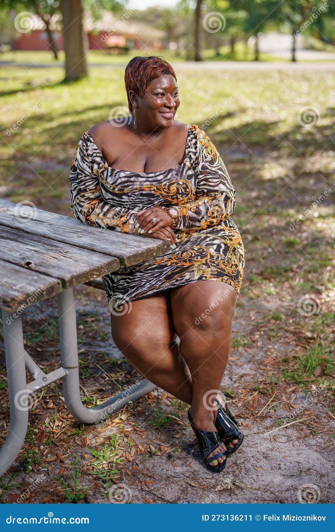 BBW Big Black Beautiful Model Sitting on a Park Bench Outdoors Stock Image  - Image of healthy, black: 273136211