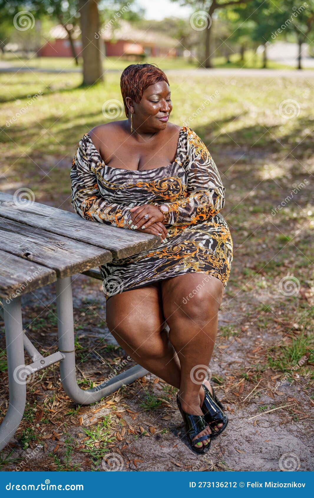 BBW Big Black Beautiful Model Sitting on a Park Bench Outdoors Stock