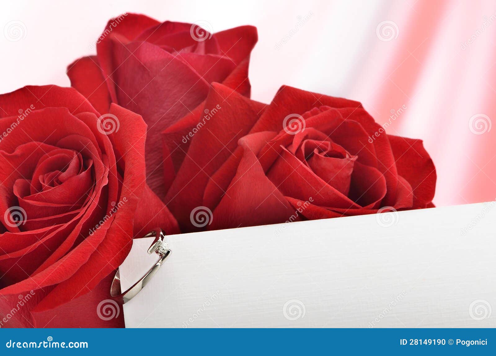 Be my Valentine! stock photo. Image of celebration, closeup - 28149190