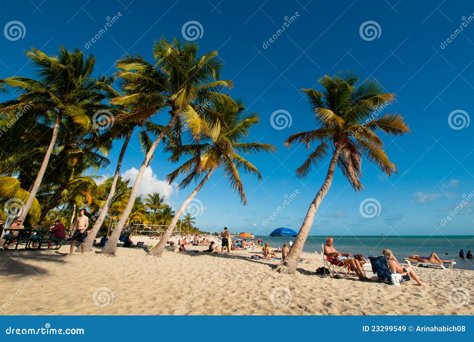 Beach editorial stock image. Image of florida, winter - 23299549