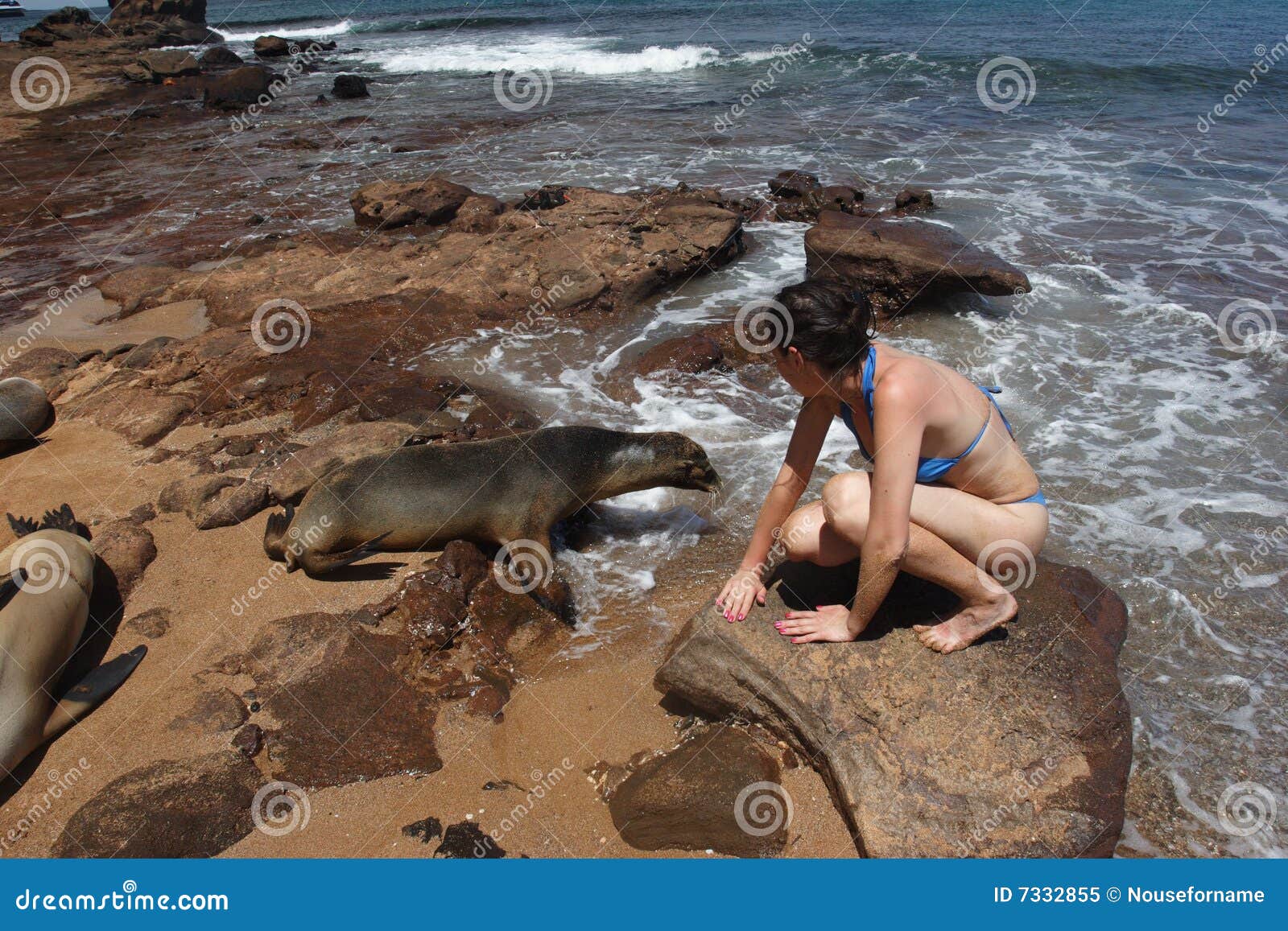 On the beach. On the Bartolomeo island Galapagos islands