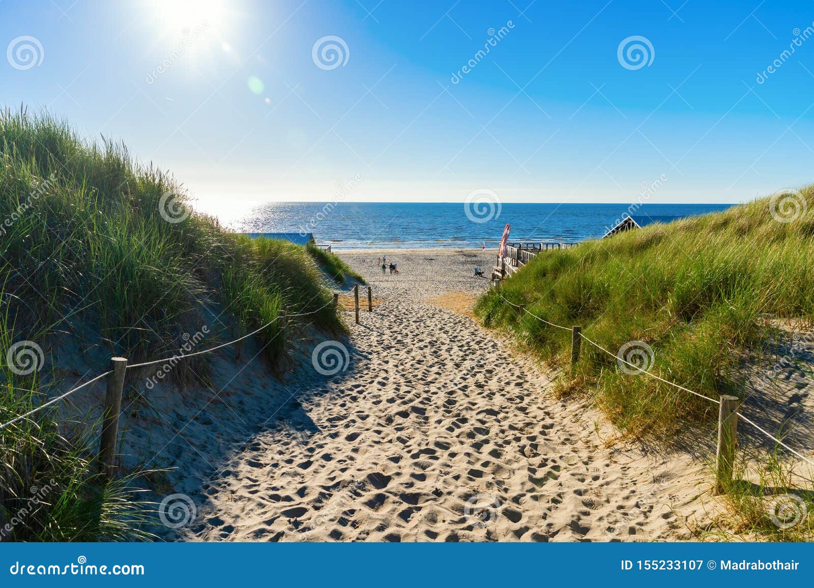 beach access in the dunes of texel, netherlands