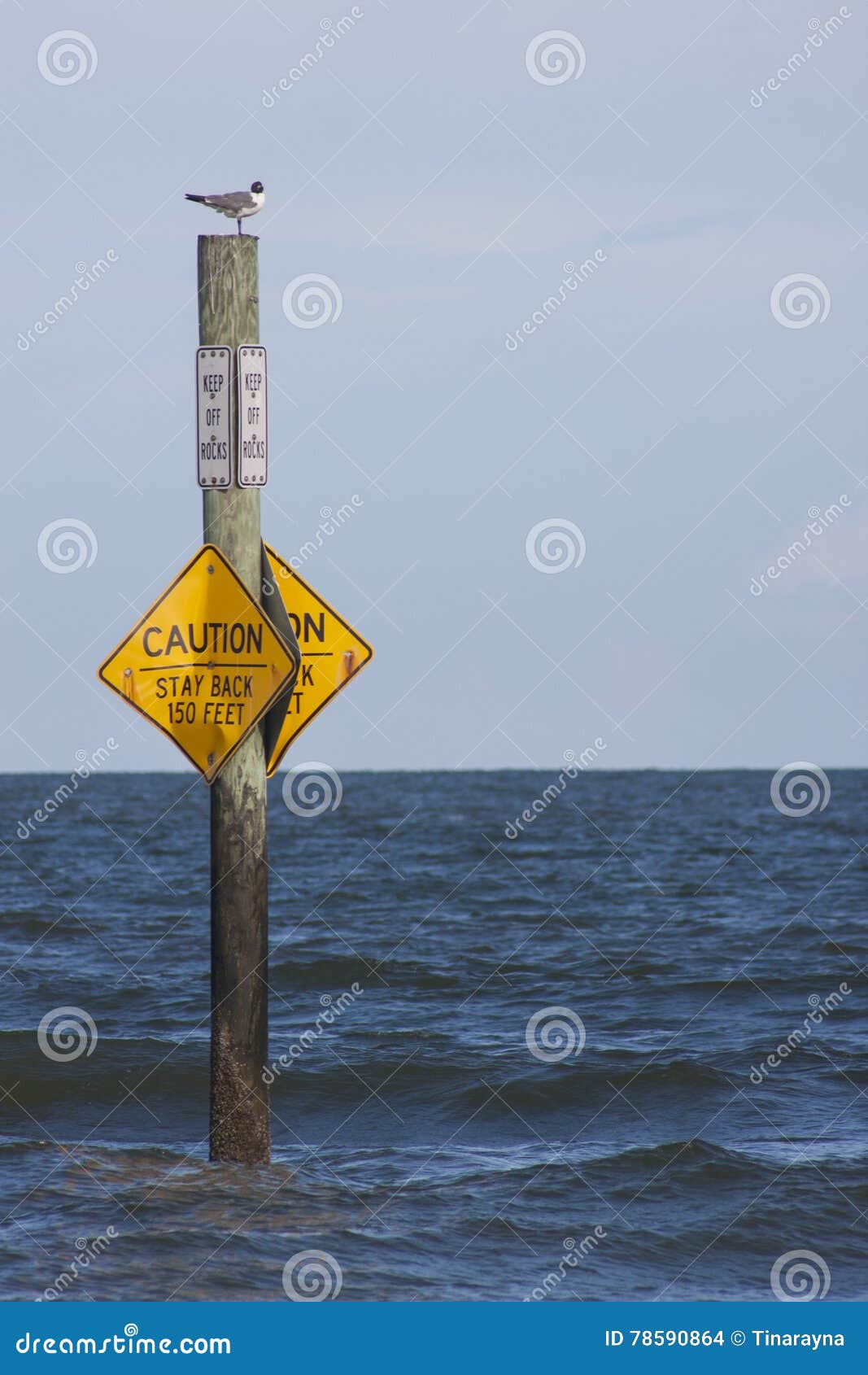 Beach Advisory Sign in the Water Stock Photo Image of restriction