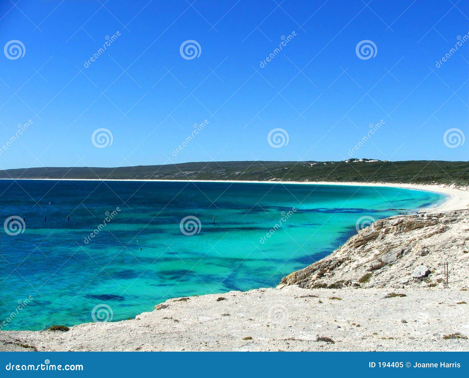 Beach australijski. Australijczyka plażowy modelu,