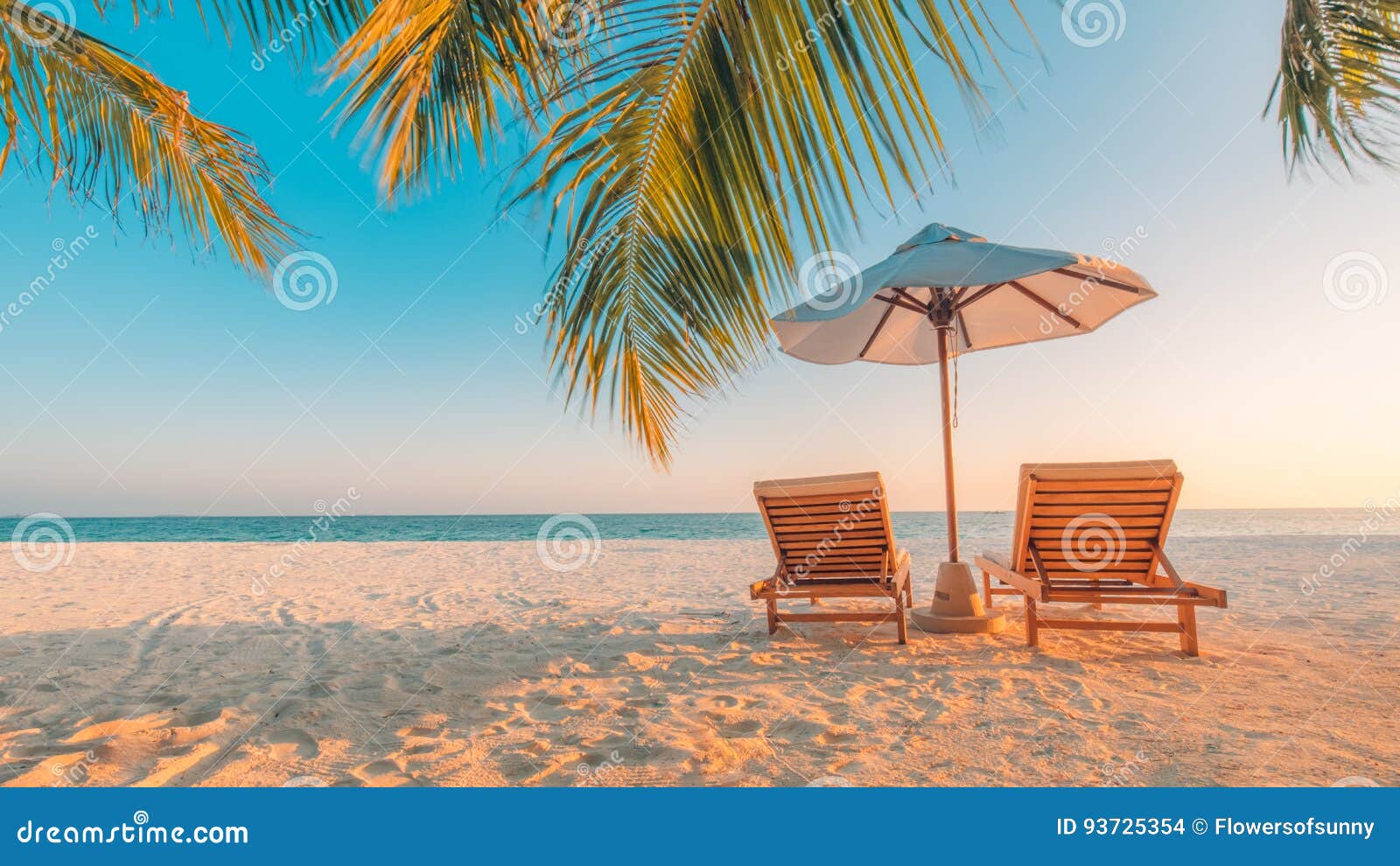 beach background. beautiful beach landscape. tropical nature scene. palm trees and blue sky. summer holiday and vacation concept.