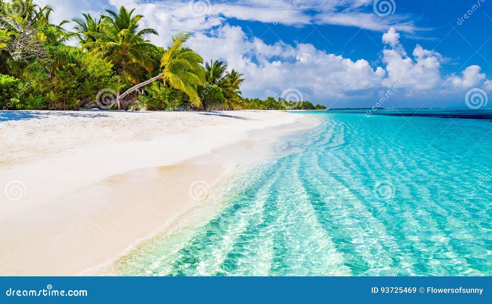 Beach Background Beautiful Beach Landscape Tropical Nature Scene Palm Trees And Blue Sky Summer Holiday And Vacation Concept Stock Image Image Of Banner Clouds