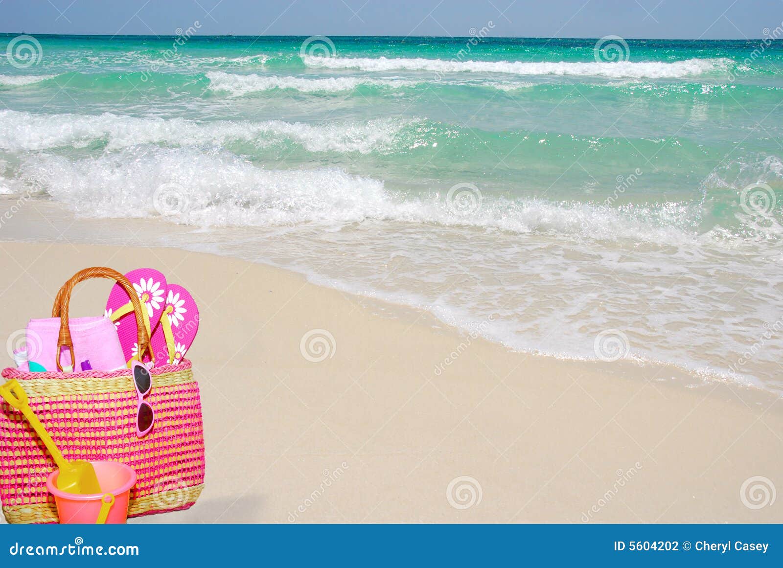 Beach Bag on Shore stock photo. Image of pristine, nature 5604202
