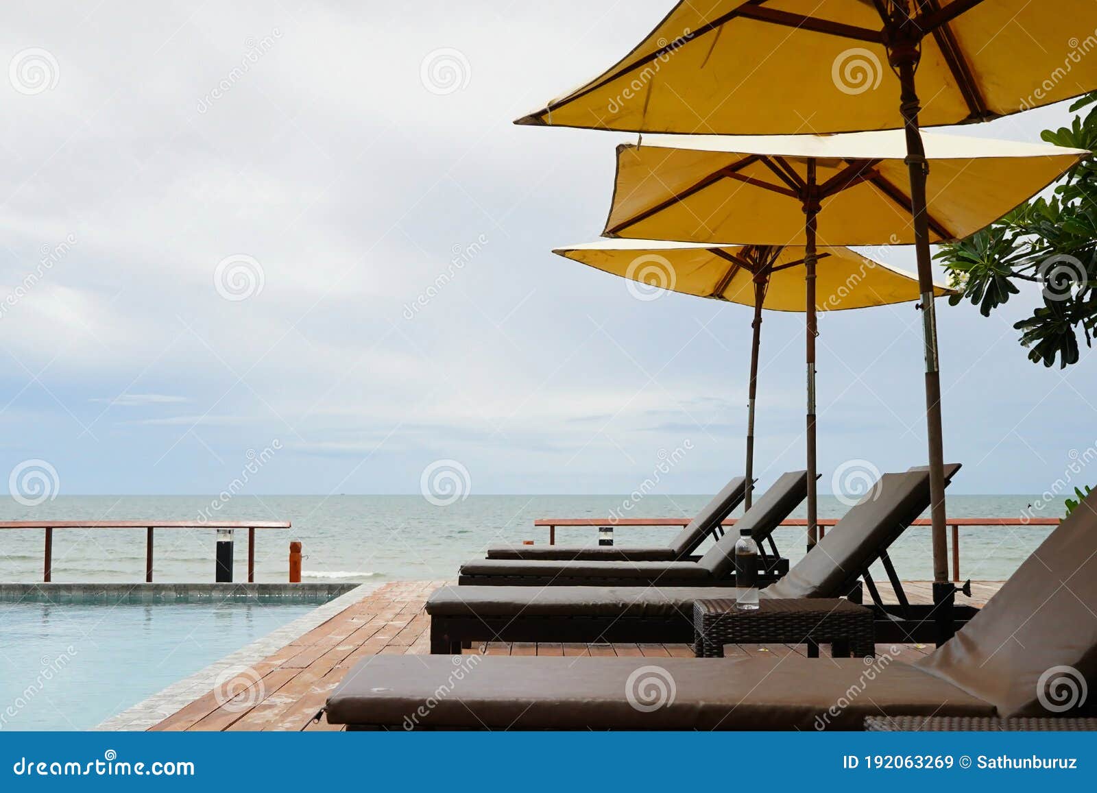 Beach Beds Lining beside Swimming Pool Near Sea Stock Image Image of