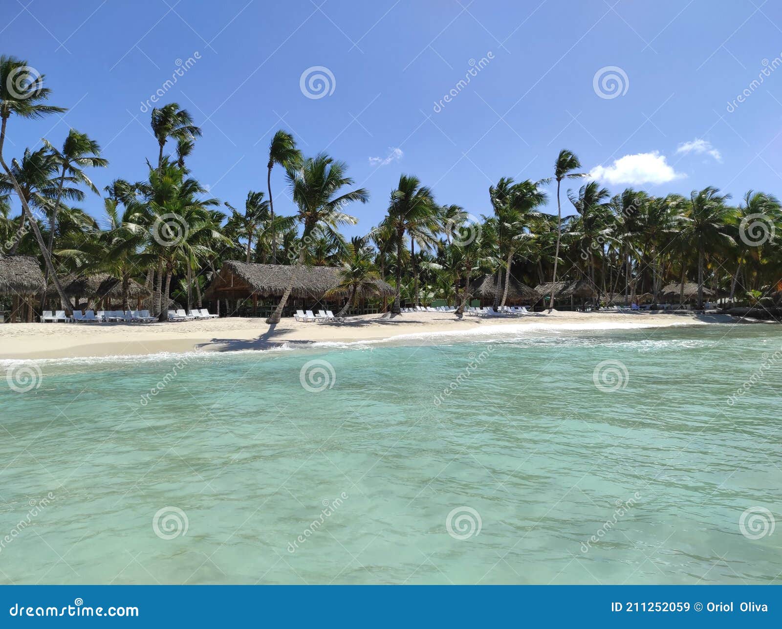 beach in the caribbean sea. punta cana. isla saona.