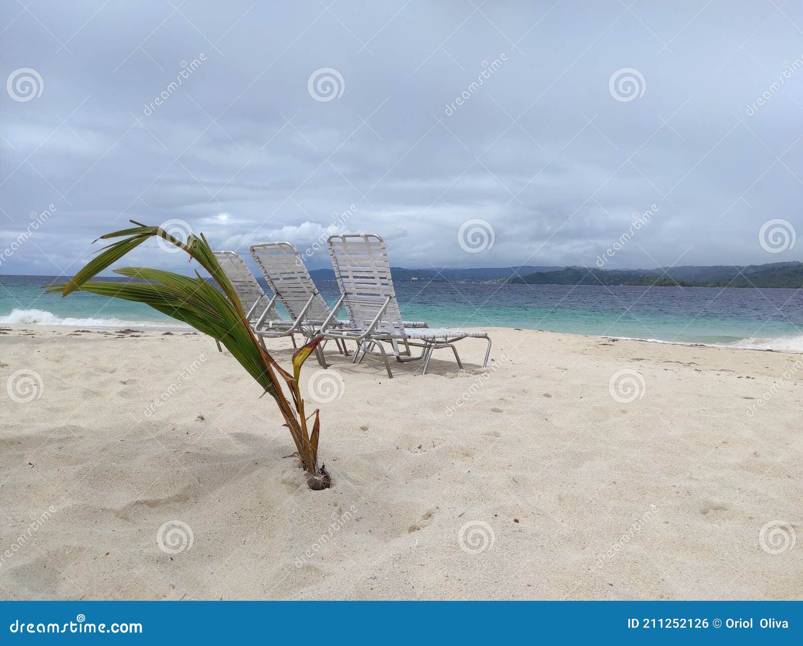 beach in the caribbean sea. punta cana. isla saona