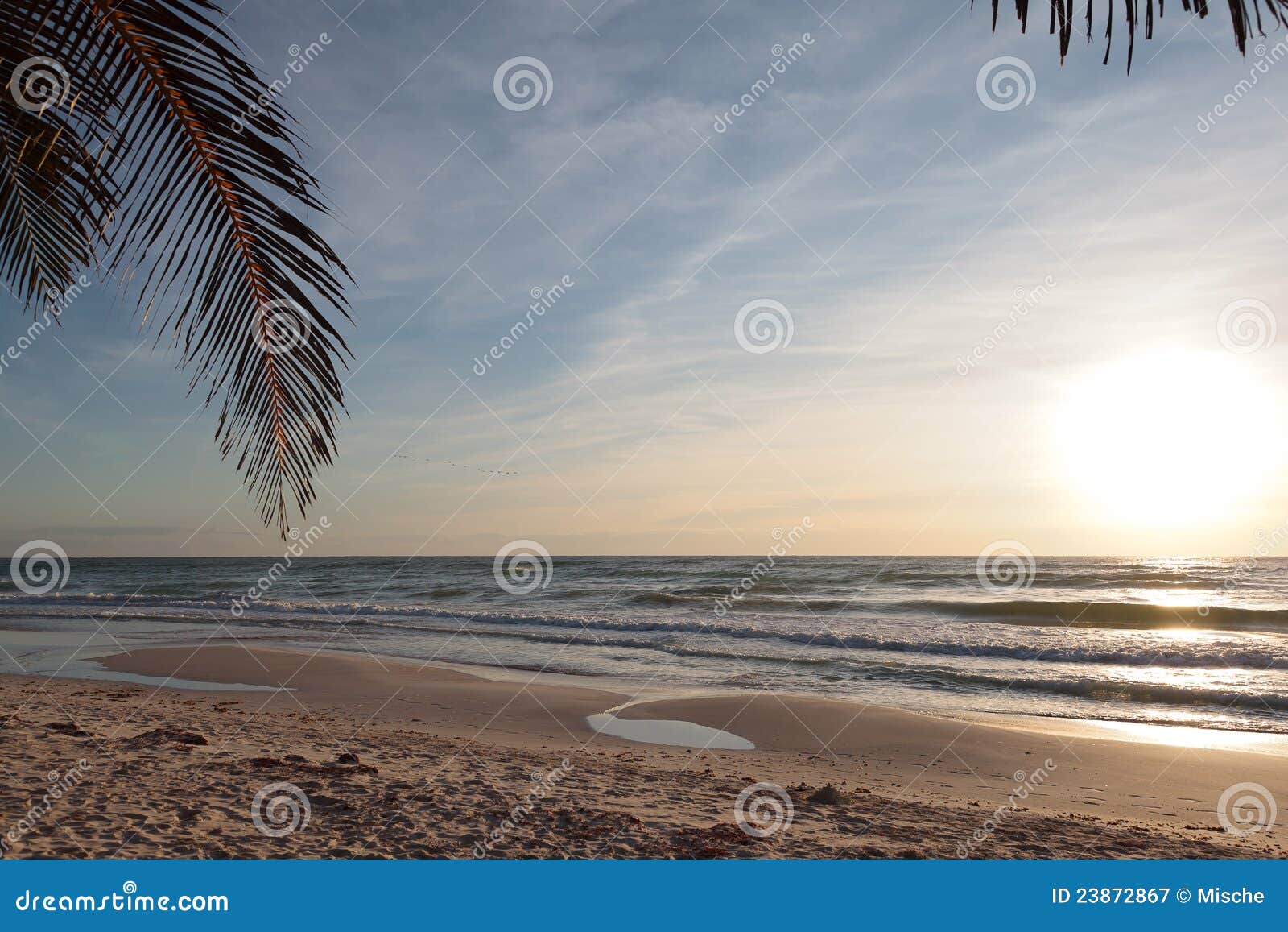 beach of caribe at sunrise, mexico