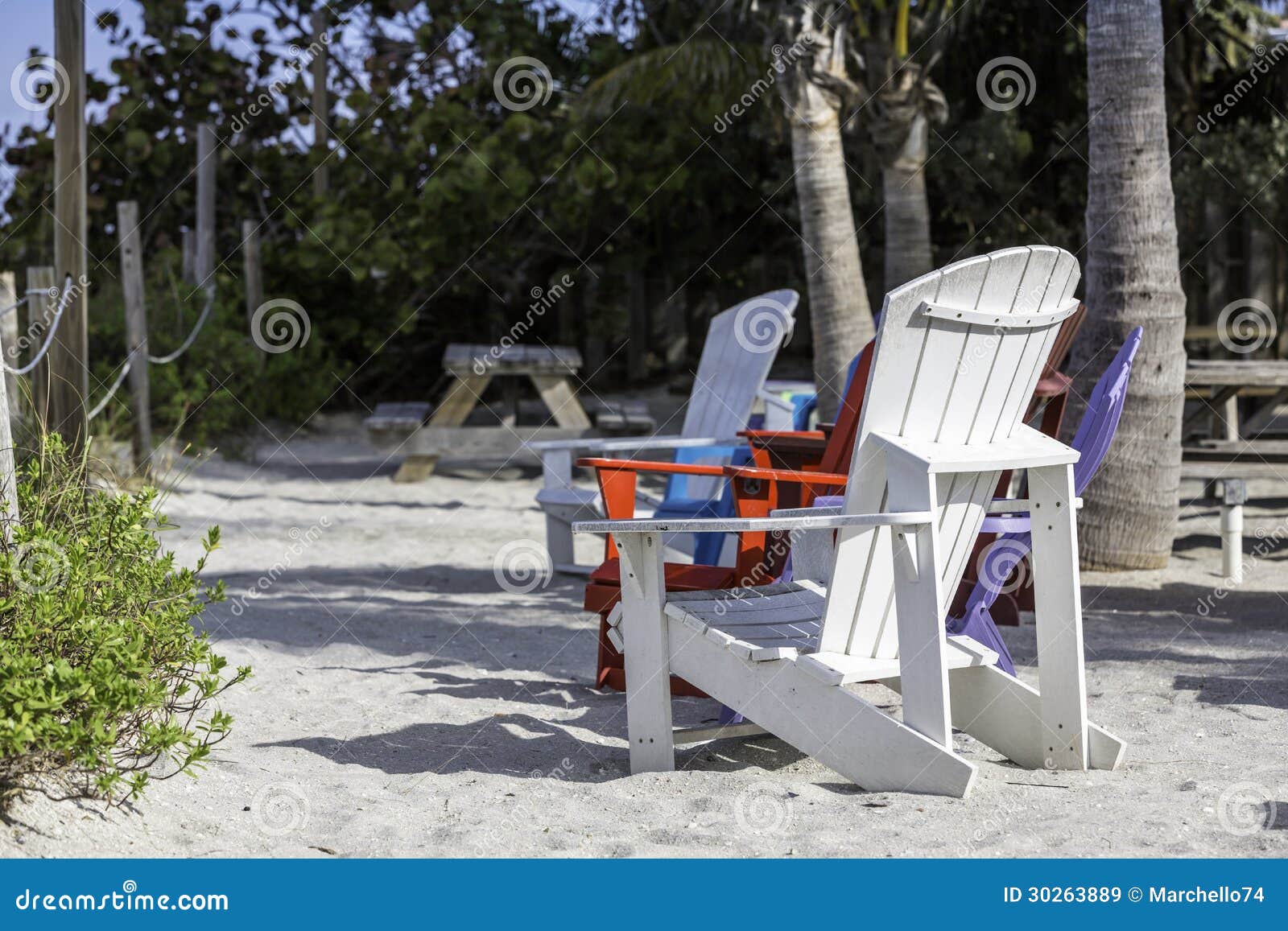 Beach chairs by the beach stock image. Image of vacation 30263889