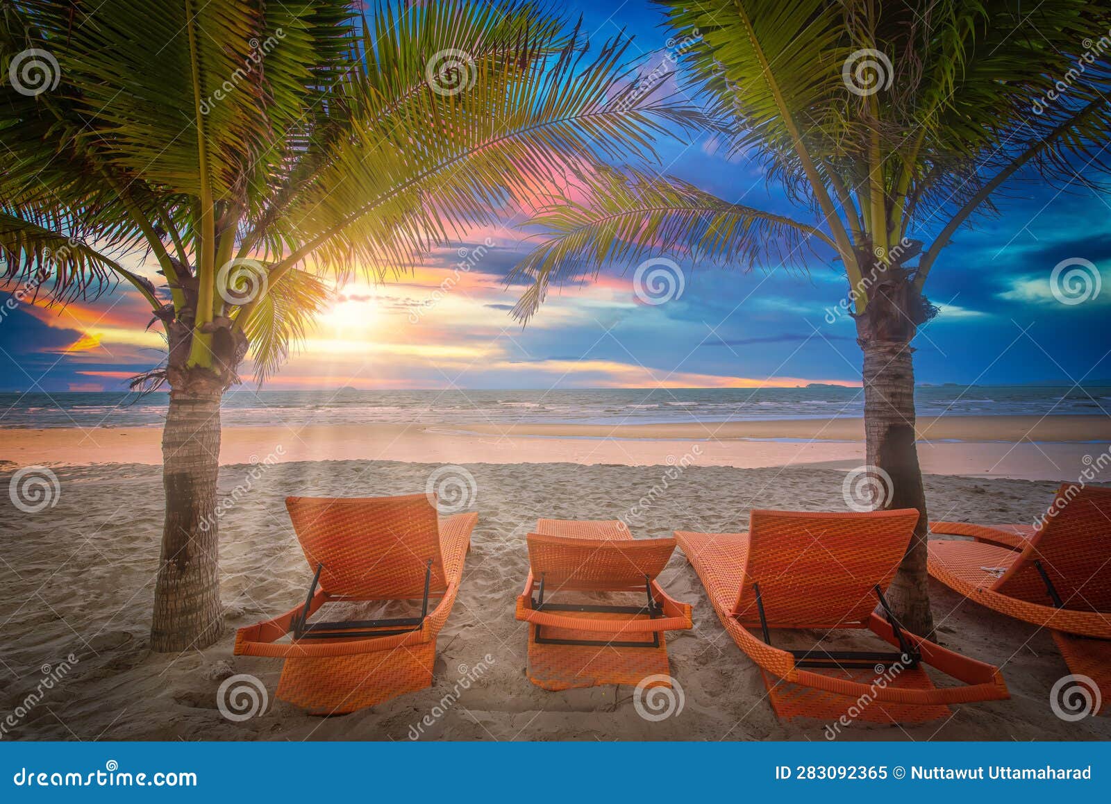 Beach Chairs and Coconut Palm Tree on the Tropical Beach at Sunset