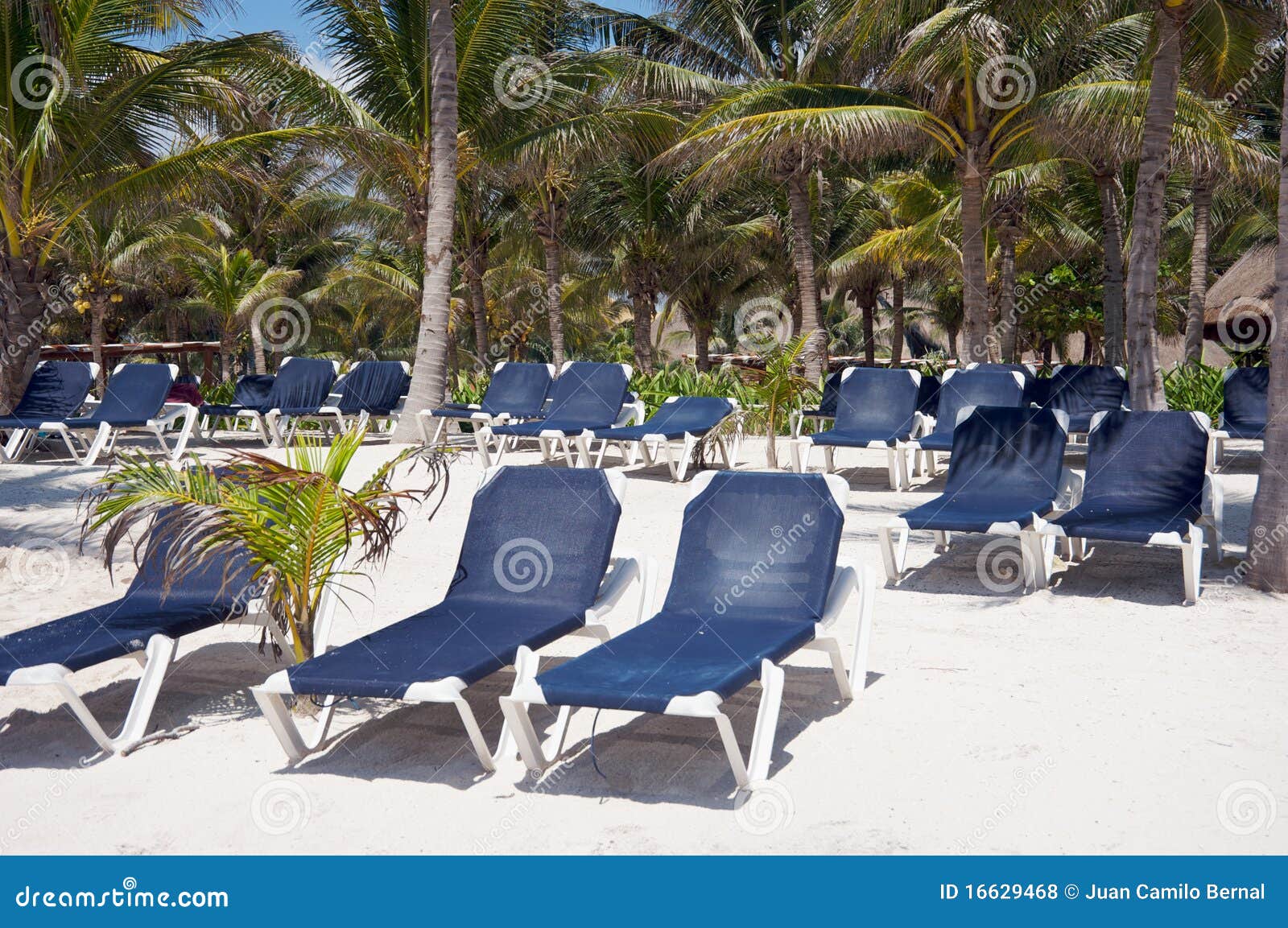 Beach chairs at a resort stock photo. Image of sunny 16629468