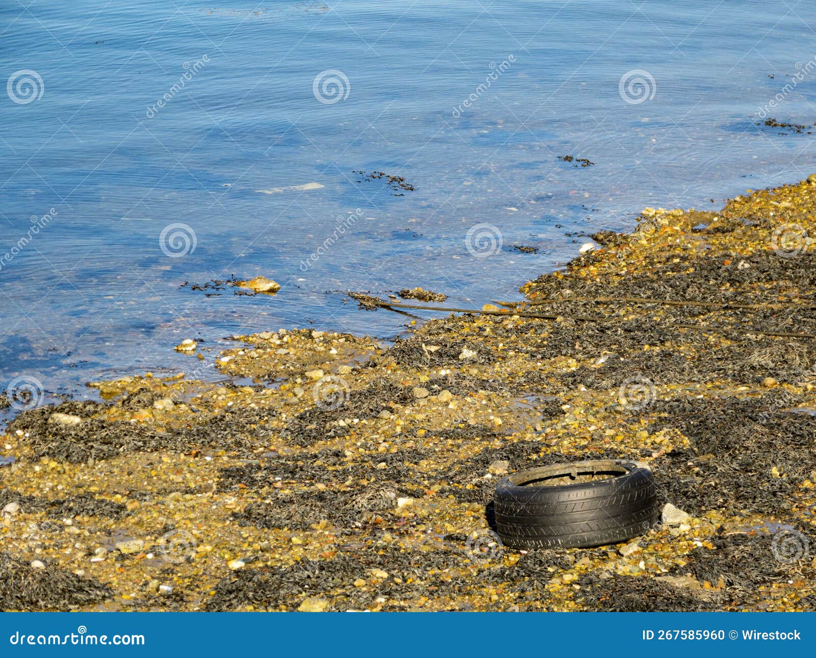 Beach Contaminated by Wheels Thrown into the Sea in Ferrol, Spain Pollution Concept Stock