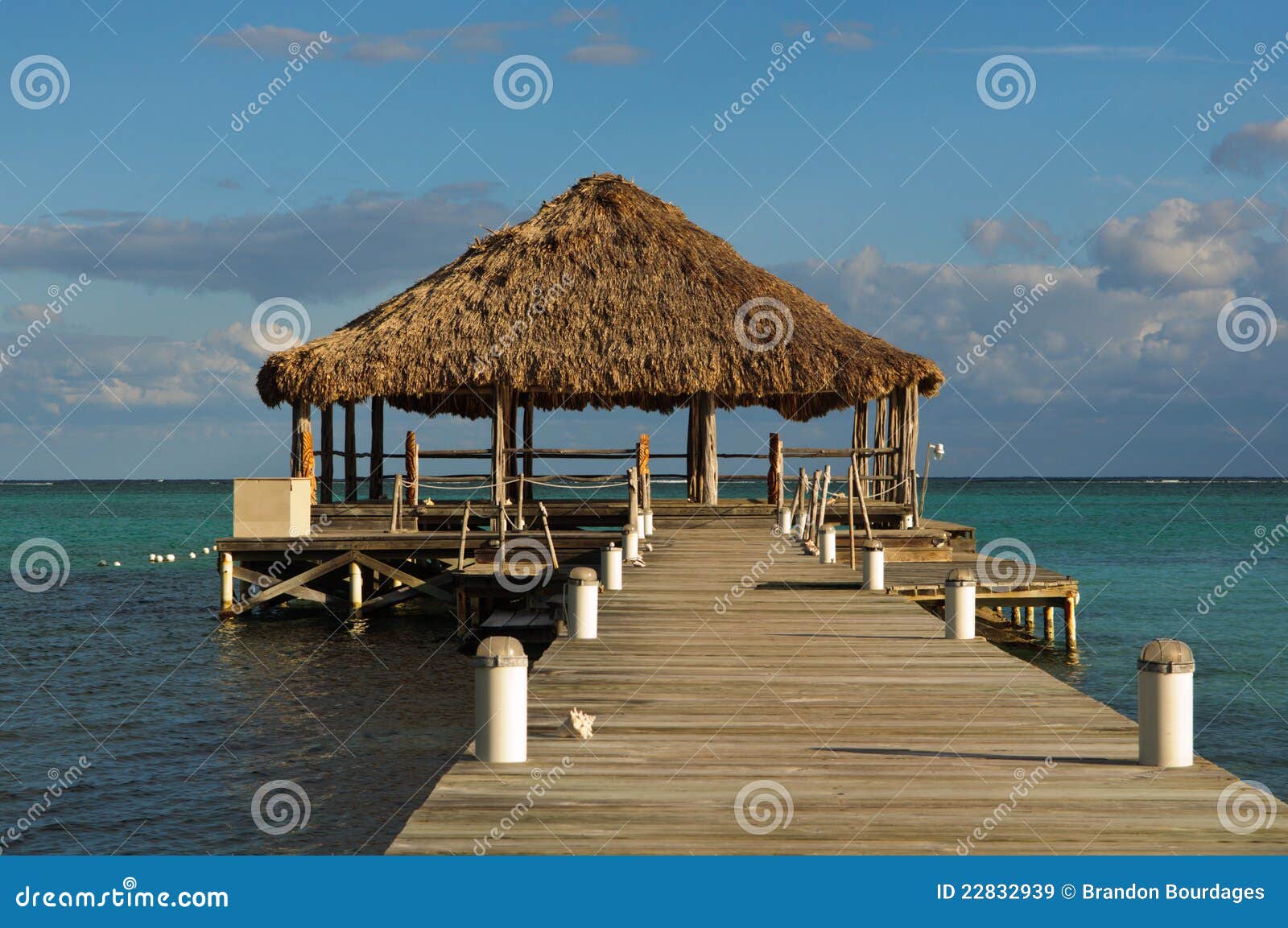 beach deck with palapa