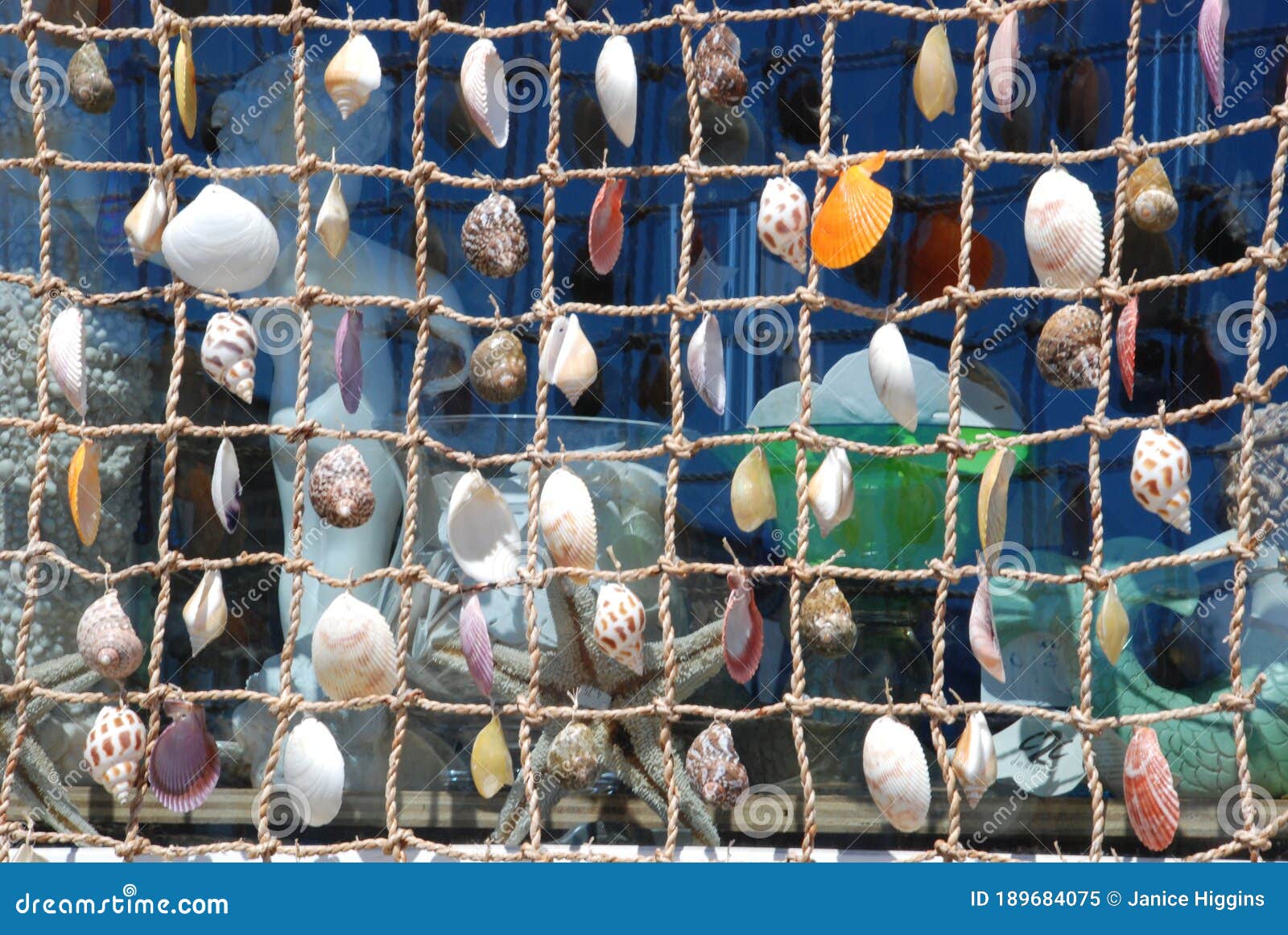 Colorful Sea Shells Hanging on Fishing Netting. Beach Theme Background  Stock Image - Image of beautiful, closeup: 189684075