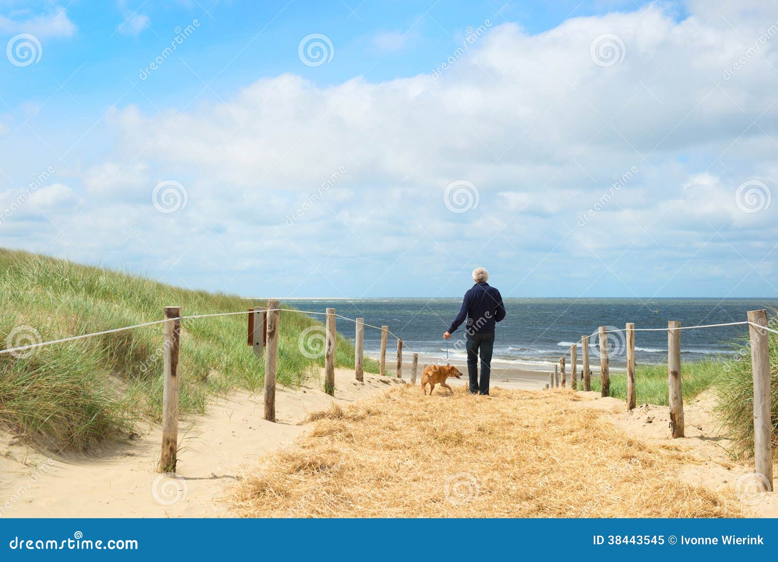 beach and dunes on dutch texel