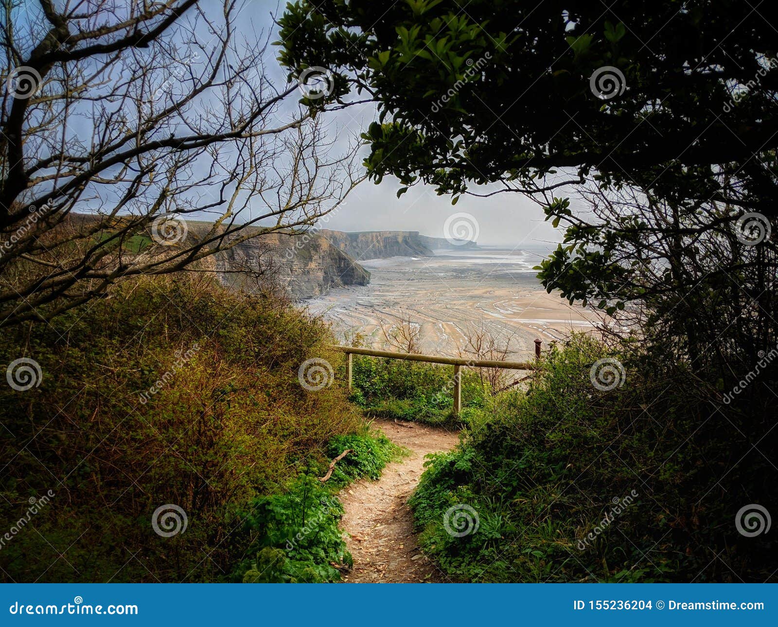 the beach emerging through the trees at southerndown - wales