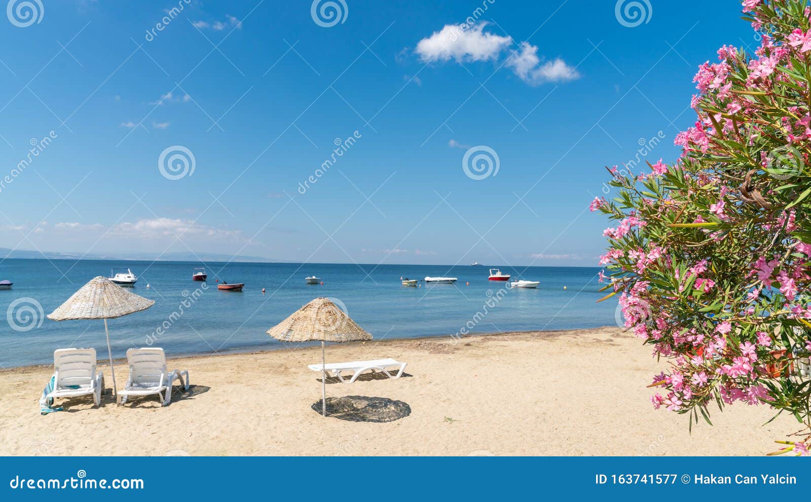 beach of erdek with beach umbrellas and pink flowers with a view of marmara sea
