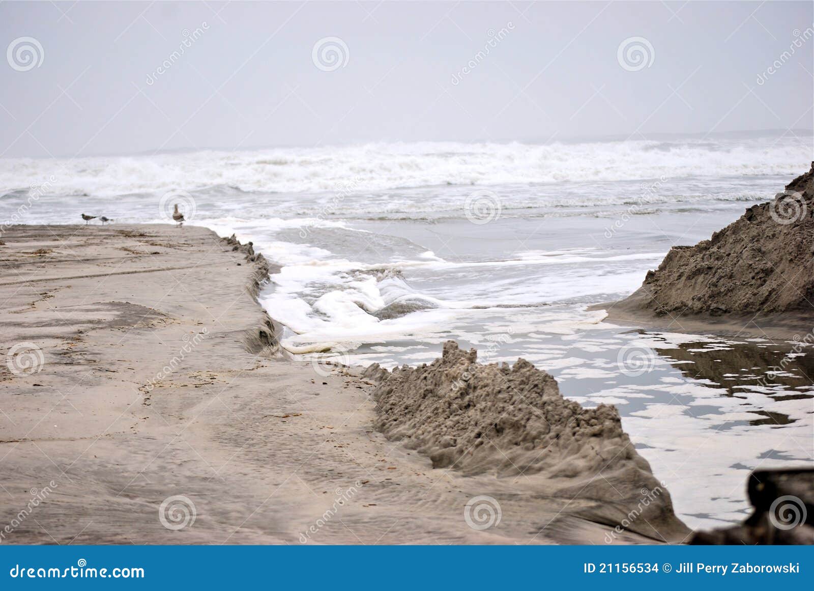 Beach erosion stock photo. Image of grain, brown, atlantic 21156534