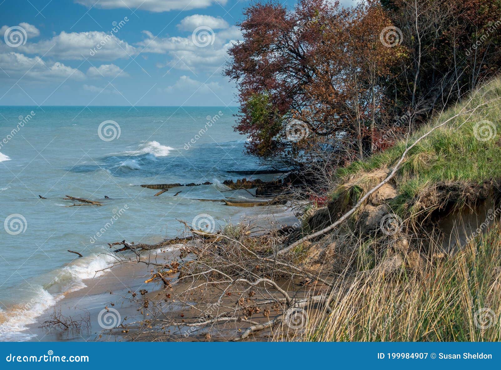 beach erosion on the shores of lake michigan